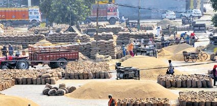 Paddy In Mandi ਸ਼ੈੱਲਰ ਮਾਲਕਾਂ ਦੀ ਹੜਤਾਲ ਕਾਰਨ ਮੰਡੀਆਂ ਵਿੱਚ ਝੋਨੇ ਦੇ ਲੱਗੇ ਅੰਬਾਰ