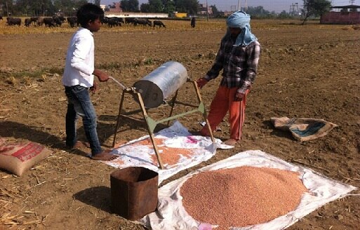 Wheat Seed Technology ਕਣਕ ਦੀ ਬਿਜਾਈ ਸਮੇਂ ਸਿਉਂਕ ਅਤੇ ਬਿਮਾਰੀਆਂ ਦੀ ਰੋਕਥਾਮ ਲਈ ਬੀਜ ਨੂੰ ਕਿਵੇਂ ਸੋਧੀਏ?