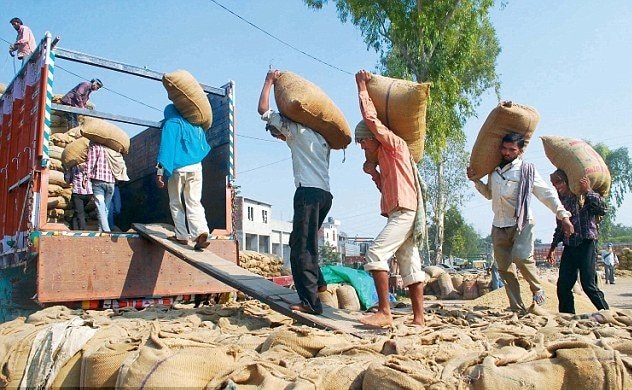 Record Paddy Production In Punjab ਪੰਜਾਬ 'ਚ ਝੋਨੇ ਦਾ ਰਿਕਾਰਡ ਉਤਪਾਦਨ , 40 ਸਾਲਾਂ ਦਾ ਟੁੱਟਿਆ ਰਿਕਾਰਡ !