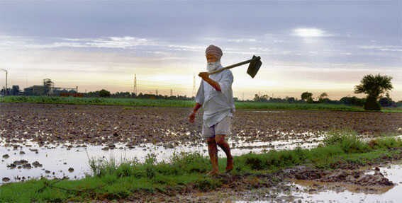 Agriculture ‘ਕਰਜ਼ਾ ਕੁਰਕੀ ਖਤਮ-ਫ਼ਸਲ ਦੀ ਪੂਰੀ ਰਕਮ’ ਮੁਹਿੰਮ ਸ਼ੁਰੂ ਕਰੇਗੀ ਕਾਂਗਰਸ