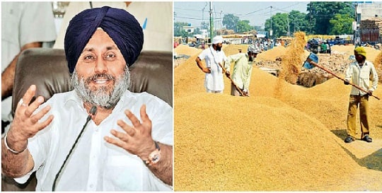 Sukhbir Singh Badal ਝੋਨਾ ਨਹੀਂ ਵਿਕਦਾ ਤਾਂ ਸੁਖਬੀਰ ਬਾਦਲ ਨਾਲ ਸਿੱਧੀ ਗੱਲ ਕਰੋ