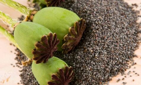 Health News: ਐਵੇਂ ਨਾ ਜਾਣੋ ਖਸਖਸ ਨੂੰ, ਬੜੇ ਫਾਇਦਮੰਦ ਹੈ ਇਹ