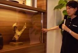 ਵੇਖੋ ਪੈਨਾਸਾਨਿਕ ਦੇ 'ਇਨਵੀਸੀਬਲ' ਟੀ.ਵੀ. ਦੀ ਪਹਿਲੀ ਝਲਕ