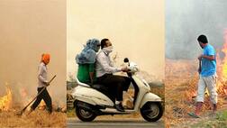 ਪਰਾਲੀ ਦੀ ਅੱਗ 'ਚ ਸੜ ਰਿਹਾ ਜੀਵਨ, ਜਾਣੋ ਕੀ ਨੇ ਨੁਕਸਾਨ