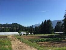 ਇੰਨਾਂ ਖੇਤਾਂ ਚ ਕੰਮ ਕਰਕੇ ਅਪਰਾਧੀ ਵੀ ਬਣ ਜਾਂਦੇ ਬੰਦ..ਜਾਣੋ 