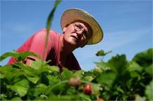 ਇੰਨਾਂ ਖੇਤਾਂ ਚ ਕੰਮ ਕਰਕੇ ਅਪਰਾਧੀ ਵੀ ਬਣ ਜਾਂਦੇ ਬੰਦ..ਜਾਣੋ 