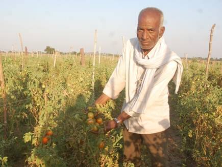 ਇਸ ਕਿਸਾਨ ਕੋਲ ਕਿਸੇ ਵੇਲੇ ਪੈਰਾਂ 'ਚ ਪਾਉਣ ਨੂੰ ਚੱਪਲ ਵੀ ਨਹੀਂ ਸੀ, ਇੰਜ ਬਣਿਆ ਕਰੋੜਪਤੀ Agriculture: Farmer Ratti Ram became a millionaire with a little technology and the benefit of government schemes in land ਇਸ ਕਿਸਾਨ ਕੋਲ ਕਿਸੇ ਵੇਲੇ ਪੈਰਾਂ 'ਚ ਪਾਉਣ ਨੂੰ ਚੱਪਲ ਵੀ ਨਹੀਂ ਸੀ, ਇੰਜ ਬਣਿਆ ਕਰੋੜਪਤੀ