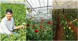 ਫੁੱਲਾਂ ਤੋਂ 15 ਤੋਂ 18 ਲੱਖ ਰੁਪਏ ਸਲਾਨਾ ਕਮਾ ਰਿਹਾ ਇਹ ਨੋਜਵਾਨ ਕਿਸਾਨ