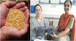 ਹੁਣ ਰਸਾਇਣਾਂ ਦੀ ਵਰਤੋ ਬਿਨਾ ਫਸਲਾਂ ਦਾ ਝਾੜ ਵਧਾਉ