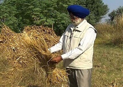 Paddy Straw Fire ਪਰਾਲੀ ਨੂੰ ਅੱਗ ਨਾ ਲਾਉਣ ਕਾਰਨ ਇੱਕ ਲੱਖ ਦੋ ਹਜ਼ਾਰ ਰੁਪਏ ਦਾ ਨੁਕਸਾਨ