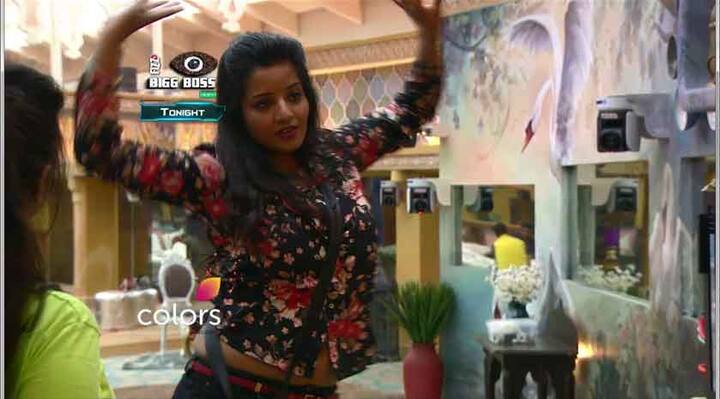 ਮੋਨਾ ਨੂੰ ਨੱਚਦੇ ਵੇਖ ਸਵਾਮੀ ਨੇ ਉਸਦੀ ਨਕਲ ਉਤਾਰਨ ਦੀ ਵੀ ਕੋਸ਼ਿਸ਼ ਕੀਤੀ। 