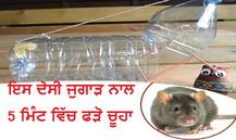 ਘਰ \'ਚ ਬਣੇ ਦੇਸੀ ਜੁਗਾੜ ਨਾਲ 5 ਮਿੰਟ \'ਚ ਫੜੋ ਚੂਹਾ