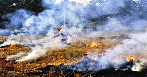 Paddy Straw Burning In Punjab ਪਰਾਲੀ ਸਾੜਨ ਵਾਲੇ ਕਿਸਾਨਾਂ ਦੀ ਮੁਫ਼ਤ ਬਿਜਲੀ ਸਮੇਤ ਹੋਰ ਸਹੂਲਤਾਂ ਵਾਪਸ ਲੈਣ ਸਰਕਾਰਾਂ !