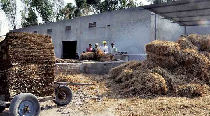 Biomass Power Plant ਇਸ ਇਲਾਕੇ 'ਚ ਝੋਨੇ ਦੀ ਪਰਾਲੀ ਨੇ ਕਿਸਾਨਾਂ ਦੇ ਕੀਤੇ ਵਾਰੇ ਨਿਆਰੇ