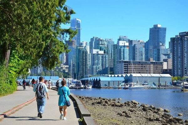 Cashless Countries ਦੁਨੀਆ ਦੇ ਅਜਿਹੇ ਦੇਸ਼ ਜਿੱਥੇ ਕੈਸ਼ ਦੇਣ 'ਤੇ ਹੁੰਦਾ ਜ਼ੁਰਮਾਨਾ