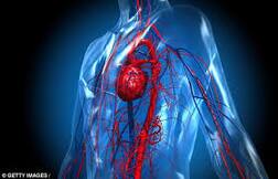 ਭਾਰਤ 'ਚ 20 ਕਰੋੜ ਲੋਕ ਹਾਈ ਬਲੱਡ ਪ੍ਰੈਸ਼ਰ ਦੇ ਸ਼ਿਕਾਰ..