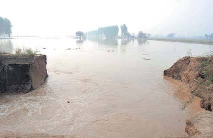 Agricultire ਨਹਿਰਾਂ ਪਏ ਪਾੜ ਨਾਲ ਸੈਂਕੜੇ ਏਕੜ ਬੀਜੀ ਕਣਕ ਡੁੱਬੀ