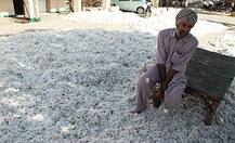 ਨੋਟਬੰਦੀ ਨਾਲ ਕਿਸਾਨ ਹੋਰ ਹੋਣਗੇ ਕਰਜ਼ਈ, ਆੜ੍ਹਤੀਆਂ ਦੇ ਚੁੰਗਲ \'ਚ ਫਸਣ ਲੱਗੇ