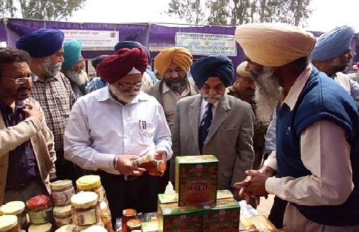 Progressive Farmer: This farmer found a way to earn a living from farming Progressive Farmer: ਇਸ ਕਿਸਾਨ ਨੇ ਖੇਤੀ 'ਚੋਂ ਕਮਾਈ ਲਈ ਲਭਿਆ ਅਜਿਹਾ ਰਾਹ ਕਿ ਹਰ ਪਾਸੇ ਚਰਚੇ