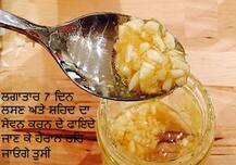 ਲਗਾਤਾਰ 7 ਦਿਨ ਲਸਣ ਅਤੇ ਸ਼ਹਿਦ ਦਾ ਸੇਵਨ ਕਰਨ ਦੇ ਫਾਇਦੇ ਜਾਣ ਕੇ ਹੈਰਾਨ ਰਹਿ ਜਾਓਗੇ
