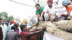 ਨੋਟਬੰਦੀ ਨੇ ਉਜਾੜੇ ਕਿਸਾਨ, ਹਜ਼ਾਰਾਂ ਕੁਇੰਟਲ ਆਲੂ ਮੁਫ਼ਤ ਵੰਡਿਆ