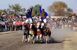 ਪਸ਼ੂਆਂ ਦੀ ਚਾਰ ਦਿਨਾਂ ਕੌਮੀ ਚੈਪੀਅਨਸ਼ਿਪ ਅੱਜ ਤੋਂ ਸ਼ੁਰੂ