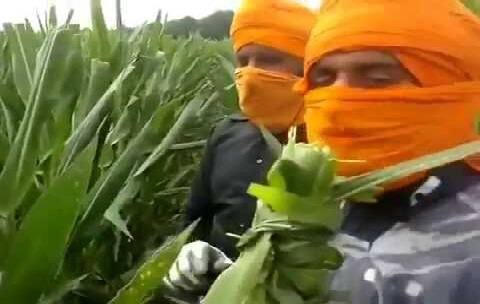 Italy ਇਟਲੀ 'ਚ ਕੰਮ ਕਰਨ ਦਾ ਸੁਨਹਿਰੀ ਮੌਕਾ,ਇਟਲੀ ਸਰਕਾਰ ਵਿਦੇਸ਼ੀਆਂ 'ਤੇ ਹੋਈ ਮਿਹਰਬਾਨ