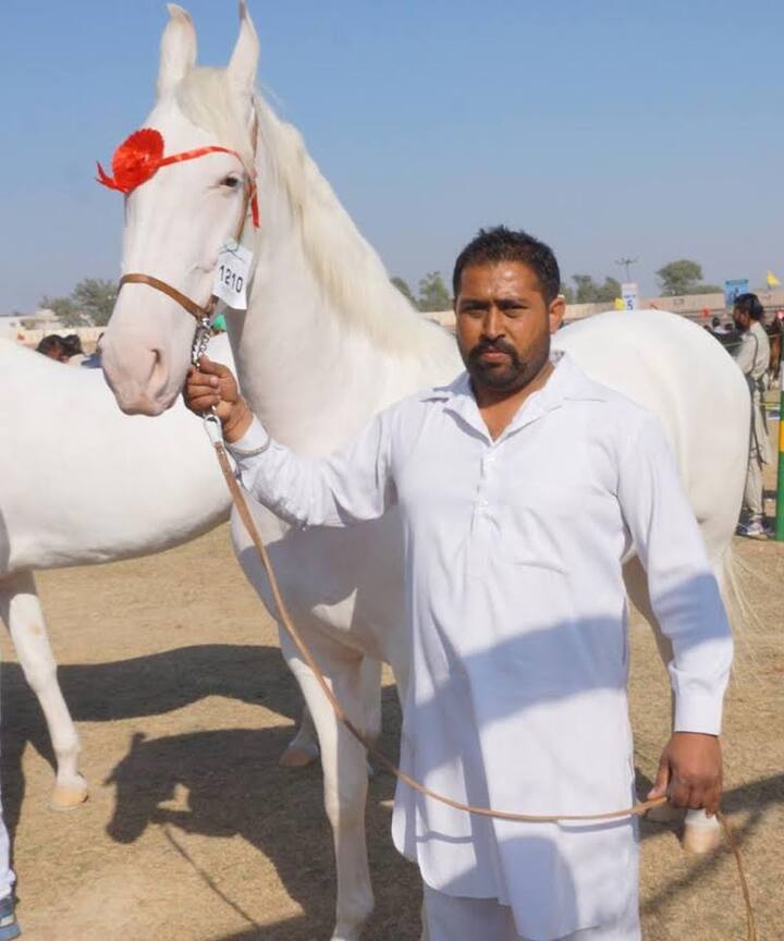 ਮੇਲੇ ਦੌਰਾਨ ਆਪਣੇ ਘੋਰੇ ਦਾ ਪ੍ਰਦਰਸ਼ਨ ਕਰਦਾ ਹੋਇਆ ਇੱਕ ਨੌਜਵਾਨ।