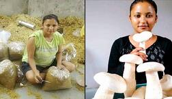 ਛੋਟੇ ਪਿੰਡ ਦੀ ਕੁੜੀ ਨੇ ਕੀਤੀ ਅਜਿਹੀ ਕਮਾਲ ਕਿ ਸਾਰੇ ਲੋਕ ਕਹਿਣ ਲੱਗੇ ਮਸ਼ਰੂਮ ਲੇਡੀ..