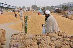 ਝੋਨਾ ਦੀ ਖਰੀਦ ਲਈ ਰਿਜ਼ਰਵ ਬੈਂਕ ਨੇ ਵਧਾਈ ਕੈਸ਼ ਕ੍ਰੈਡਿਟ ਲਿਮਟ