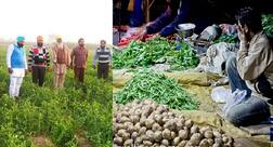 ਨੋਟਬੰਦੀ ਨਾਲ ਰੋਜ਼ਾਨਾ ਡਿੱਗ ਰਹੇ ਨੇ ਸਬਜੀਆਂ ਦੇ ਭਾਅ