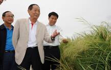 ਝੋਨੇ ਦੀ ਪੈਦਵਾਰ \'ਚ ਤੋੜਿਆ ਵਿਸ਼ਵ ਰਿਕਾਰਡ