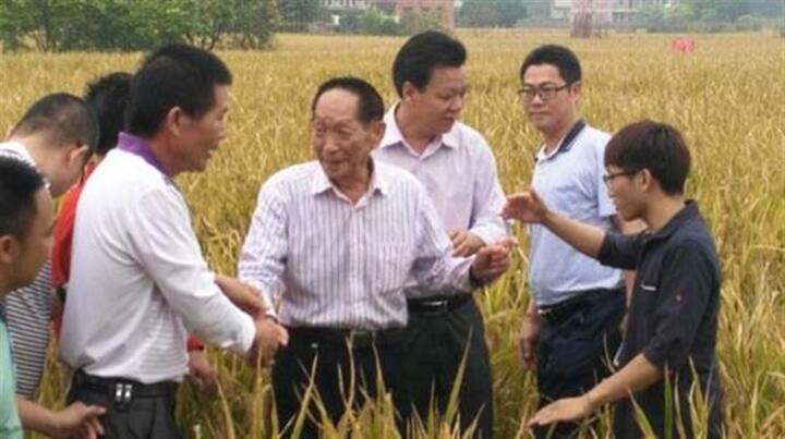 ਖਬਰ ਵਿਚ ਕਿਹਾ ਗਿਆ ਹੈ ਕਿ ਇਸ ਉਤਪਾਦਨ ਨੇ 100 ਐਮ.ਯੂ. ਖੇਤੀ ਖੇਤਰ ਵਿੱਚ ਉਤਪਾਦਨ ਦੇ ਪਿਛਲੇ ਵਿਸ਼ਵ ਰਿਕਾਰਡ ਨੂੰ ਵੀ ਤੋੜ ਦਿੱਤਾ ਹੈ।