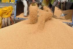 ਕਣਕ 'ਤੇ ਲਾਏ ਦਰਾਮਦ ਕਰ ਹਟਾਉਣ ਖਿਲਾਫ 23 ਤੋਂ 29 ਦਸੰਬਰ ਪ੍ਰਦਰਸ਼ਨ