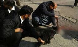 ਜਹਾਜ਼ ਦੀ ਉਡਾਣ ਤੋਂ ਪਹਿਲਾਂ ਪਾਕਿ ਏਅਰਲਾਈਨਜ਼ ਵੱਲੋਂ ਬਕਰੇ ਦੀ ਬਲੀ