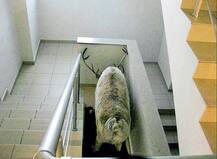 ਇੱਥੇ 83 ਸਾਲਾਂ ‘ਚ ਪਹਿਲੀ ਵਾਰ 62 ਡਿਗਰੀ \'ਤੇ ਪਹੁੰਚਿਆ ਪਾਰਾ