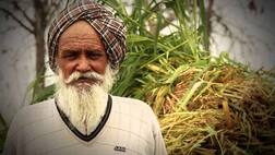 ਨੋਟਬੰਦੀ ਨੇ ਕਿਸਾਨਾਂ ਨੂੰ ਕੀਤਾ ਬਰਬਾਦ, ਪੁੱਤਾਂ ਵਾਂਗ ਪਾਲੀਆਂ ਫਸਲਾਂ ਵਾਹੀਆਂ