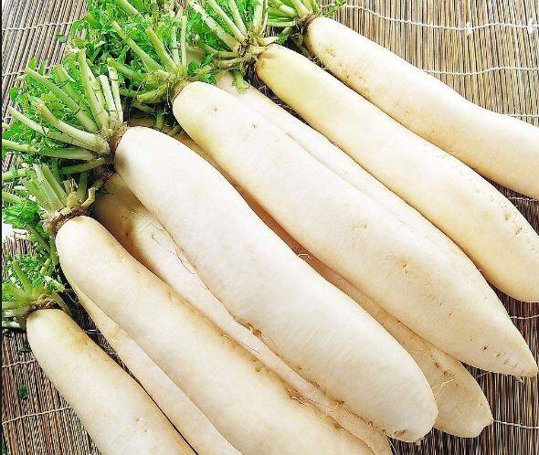 ਕੁੱਝ ਲੋਕ ਖਟ੍ਹੀ ਡਕਾਰ ਆਉਣ ਦੇ ਕਾਰਨ ਮੂਲੀ ਦਾ ਸੇਵਨ ਨਹੀਂ ਕਰਦੇ ਪਰ ਤੁਸੀਂ ਮੂਲੀ ਨੂੰ ਉਸਦੇ ਪੱਤਿਆਂ ਅਤੇ ਕਾਲੇ ਨਮਕ ਦੇ ਨਾਲ ਖਾਓਗੇ ਤਾਂ ਇੰਨਾਂ ਡਕਾਰਾਂ ਤੋਂ ਮੁਕਤੀ ਮਿਲੇਗੀ।