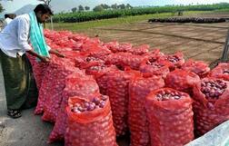 ਕਿਸਾਨਾਂ ਦੇ ਹਿੱਤਾਂ ਦੀ ਰੱਖਿਆ ਲਈ ਸਰਕਾਰ ਨੇ ਰਿਆਇਤਾਂ ਦੀ ਮਿਆਦ ਵਧਾਈ