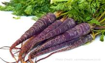 ਕੈਂਸਰ ਸਣੇ ਭਿਆਨਕ ਬਿਮਾਰੀਆਂ ਨੂੰ ਰੋਕੇਗੀ ਕਾਲੀ ਗਾਜਰ