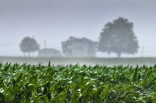 ਸਾਵਧਾਨ! ਅਗਲੇ ਕੁਝ ਘੰਟਿਆਂ ‘ਚ ਮੀਂਹ ਤੇ ਤੂਫਾਨ ਦੀ ਚੇਤਾਵਨੀ Caution! Rain and storm warning for the next few hours ਸਾਵਧਾਨ! ਅਗਲੇ ਕੁਝ ਘੰਟਿਆਂ ‘ਚ ਮੀਂਹ ਤੇ ਤੂਫਾਨ ਦੀ ਚੇਤਾਵਨੀ