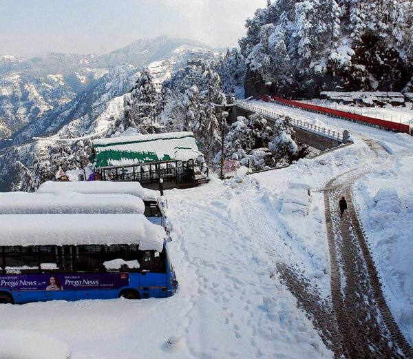 ਬਰਫਬਾਰੀ ਕਾਰਨ ਬੱਸਾਂ ਦੀਆਂ ਢੱਕੀਆਂ ਹੋਈਆਂ ਛੱਤਾਂ।