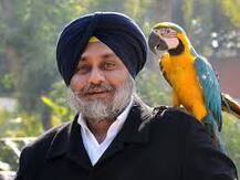 ਸ਼ੋਮਣੀ ਅਕਾਲੀ ਦਲ ਦਾ ਮੈਨੇਜਮੈਂਟ ਗੁਰੂ 