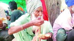 ਕਿਸਾਨਾਂ ਦੀ ਆਮਦਨ ਤਾਂ ਨਹੀਂ ਪਰ ਖੁਦਕੁਸ਼ੀਆਂ ਹੋਈਆਂ ਦੁਗਣੀਆਂ