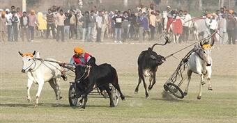 ਇਹ ਸ਼ਰਤ ਕਿਲ੍ਹਾ ਰਾਇਪੁਰ ਦੇ ਖੇਡ ਮੇਲੇ ਲਈ ਫਿਟ ਬੈਠਦੀ ਸੀ ਕਿਉਂਕਿ ਇਨ੍ਹਾਂ ਖੇਡਾਂ 'ਚ ਹੋਣ ਵਾਲੀ ਦੌੜ ਦੀ ਦੂਰੀ ਦੋ ਕਿਲੋਮੀਟਰ ਤੋਂ ਘੱਟ ਦੀ ਹੈ। ਹਾਲਾਂਕਿ ਇਹ ਦੌੜਾਂ ਕਰਵਾਉਣ ਲਈ ਖੇਡ ਕਮੇਟੀ ਨੂੰ ਜ਼ਿਲ੍ਹਾ ਅਧਿਕਾਰੀਆਂ ਨੂੰ ਜਾਣਕਾਰੀ ਦੇਣਾ ਕੰਪਲਸਰੀ ਕੀਤਾ ਗਿਆ ਸੀ। 