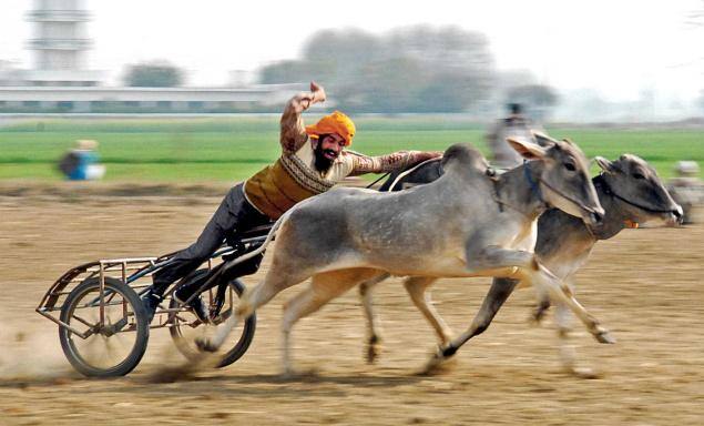 ਕਿਵੇਂ ਹੋਈ ਸੀ ਖੇਡਾਂ 'ਚ ਵਾਪਸੀ 