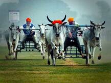 ਸੁਪ੍ਰੀਮ ਕੋਰਟ ਦੇ ਫੈਸਲੇ ਤੋਂ ਬਾਅਦ ਕਿਲ੍ਹਾ ਰਾਇਪੁਰ ਦੀਆਂ ਖੇਡਾਂ ਨੂੰ ਝਟਕਾ ? 