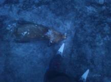 ਵਸ ਤੋਂ ਬਾਹਰ ਹੋਈ ਠੰਢ, ਬਰਫ਼ \'ਚ ਜੰਮ ਗਈ ਲੂੰਬੜੀ 