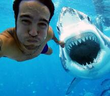 OMG! ਵੇਖੋ ਖ਼ਤਰਨਾਕ Selfies