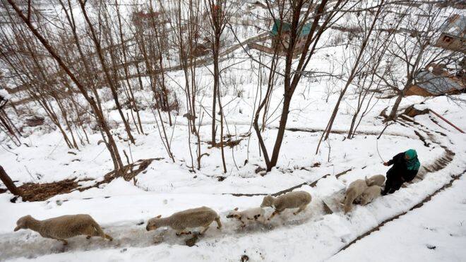 ਬਰਫਬਾਰੀ ਐਸਾ ਦ੍ਰਿਸ਼ ਪੇਸ਼ ਕਰਦੀ ਹੈ ਕਿ ਤਸਵੀਰਾਂ ਦੇਖ ਕੇ ਵੀ ਮਨ ਗਦਗਦ ਹੋ ਜਾਂਦਾ ਹੈ। ਕਸ਼ਮੀਰ ਦੇ ਨਾਲ ਦੁਨੀਆ ਭਰ ਦੇ ਗਰੀਸ, ਏਥਨਸ ਅਤੇ ਰੋਮਾਨੀਆ ਤੋਂ ਬਰਫਬਾਰੀ ਦੀਆਂ ਵੱਖ-ਵੱਖ ਤਸਵੀਰਾਂ ਤੁਸੀਂ ਦੇਖ ਸਕਦੇ ਹੋ।